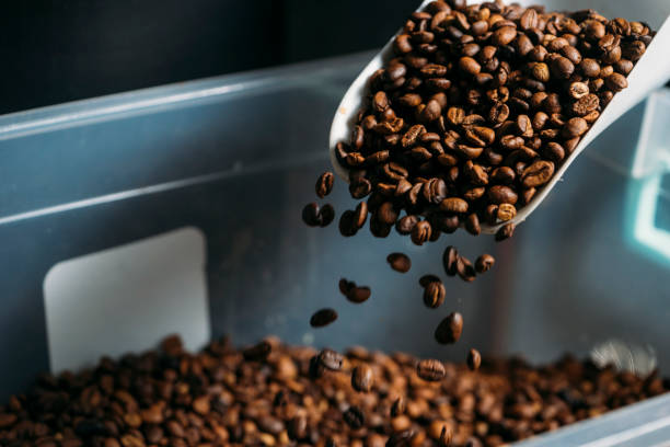 istock Freshly roasted coffee beans n a coffee roaster 1054777952