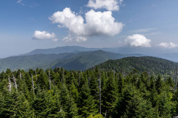 istock Smoky Mountains Scenic Landscape 1054778510