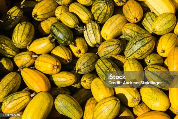 Pumpkins Cucurbita Stock Photo - Download Image Now - Agriculture, Autumn, Bale