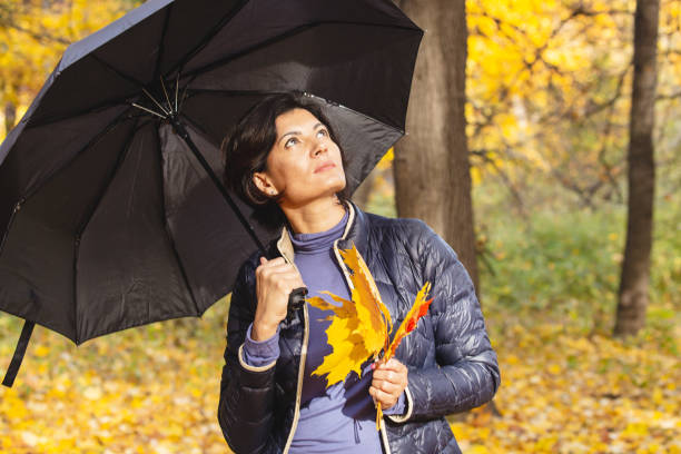 istock Autumn yellow leaves 1054791710