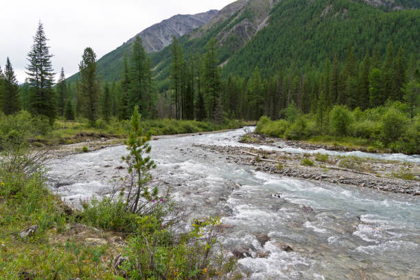 istock Altai Mountains. The Shawla River. Siberia, Russia. 1054793820