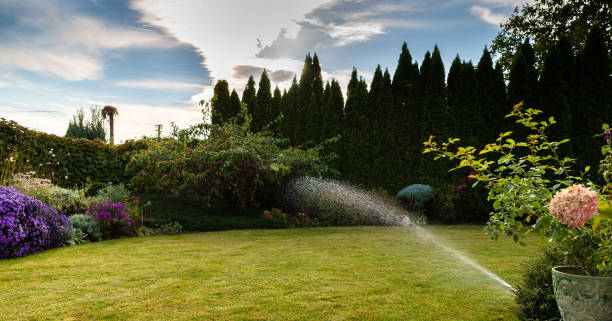 istock Irrigation of the green grass with sprinkler system. 1054796200