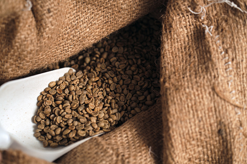 Unroasted Arabica Coffee Beans