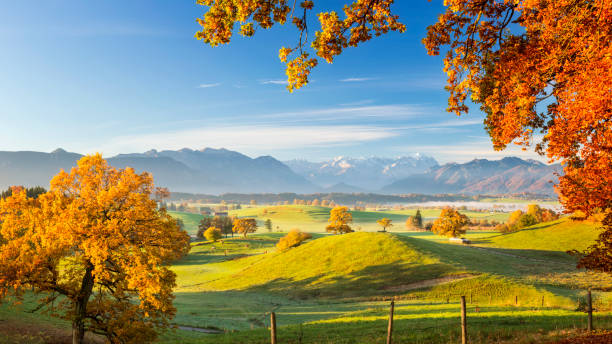 autumn in bavarian with zugspitze in background - xxl panorama - wetterstein mountains bavaria mountain forest imagens e fotografias de stock