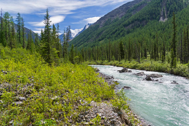 istock Altai Mountains. The Shawla River. Siberia, Russia. 1054798216