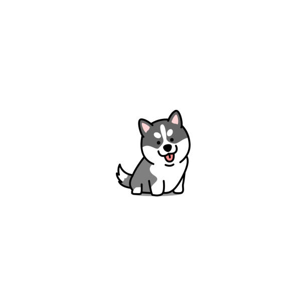 可愛的西伯利亞赫斯基小狗動畫片圖示, 向量例證 - 哈士奇 圖片 幅插畫檔、美工圖案、卡通及圖標