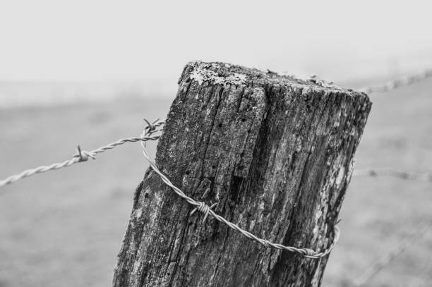 istock Barbed wire on a wooden post 1054802574