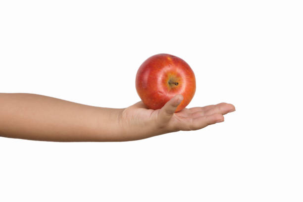 istock Little boy hand holding Red apple 1054803190