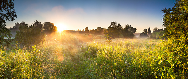 summer landscape panorama with sunrise and forest and meadow. panoramic view