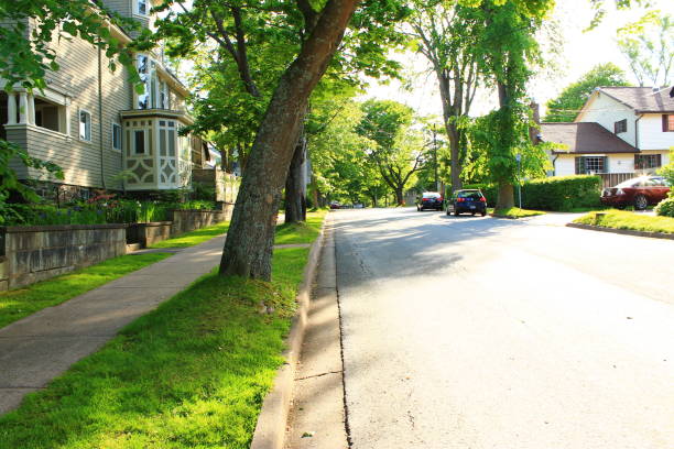 istock Street and trees - Walking Tours in Canada 9 1054805972
