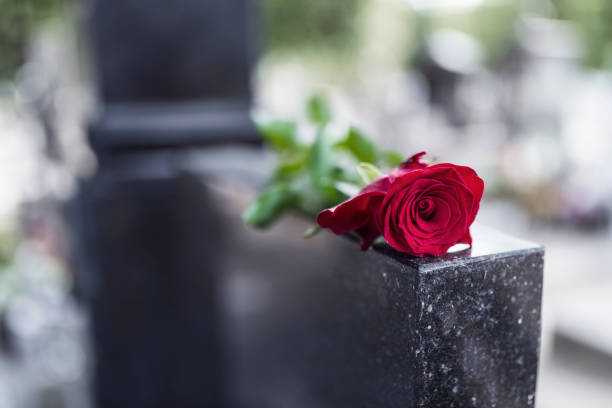 Red rose on grave Rose on tombstone. Red rose on grave. Love - loss. Flower on memorial stone close up. Tragedy and sorrow for the loss of a loved one. Memory. Gravestone with withered rose place concerning death stock pictures, royalty-free photos & images