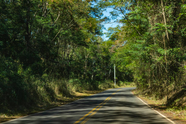 istock Road between trees. Road full of trees. Brazil 1054808304