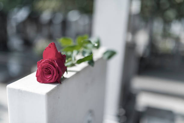 istock Flower on memorial stone close up 1054811616