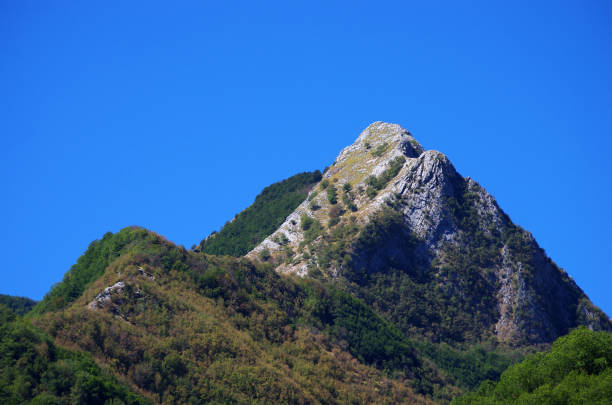 istock mountain top shag and no trees 1054821624
