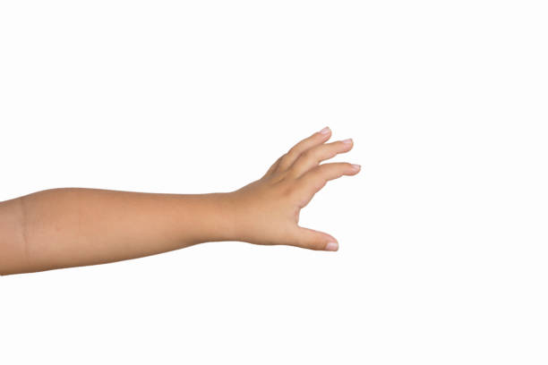 Cute Little boy hand holding something on white background. Cute Little boy hand making grab some items isolated on white background. child arm reaching stock pictures, royalty-free photos & images