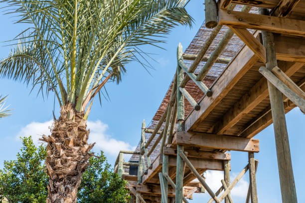 istock An old wooden construction against a blue sky and palm tree 1054829830