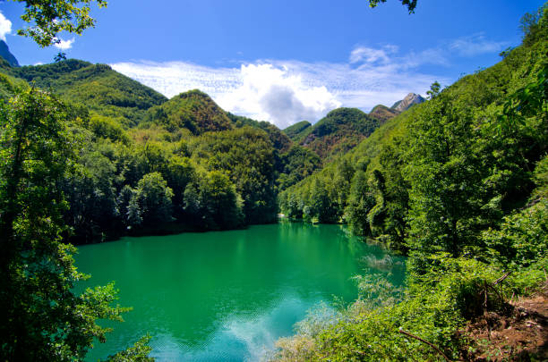 istock mountain lake with small hamlet and historic church 1054833250