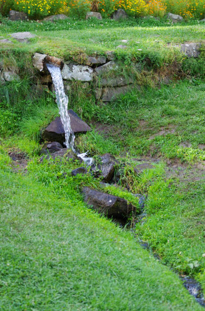 istock Stream in the forest in the mountains 1054857138