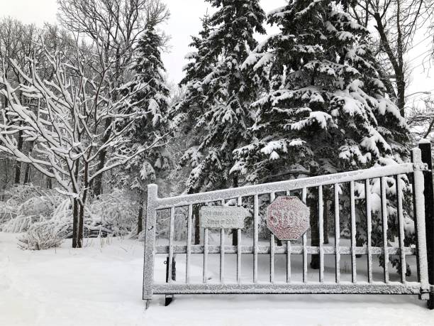 istock Winter Snowstorm, Winnipeg, Manitoba, Canada 1054858726
