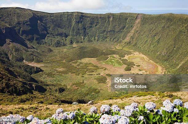 Внутри Caldeira Вулкан В Faial Азорские Острова — стоковые фотографии и другие картинки Фаял - Фаял, Кальдера, Азорские острова