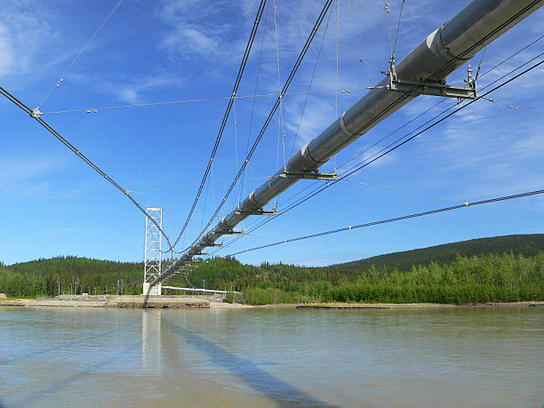 Trans-Alaska-Pipeline: Tanana-Kreuzung – Foto