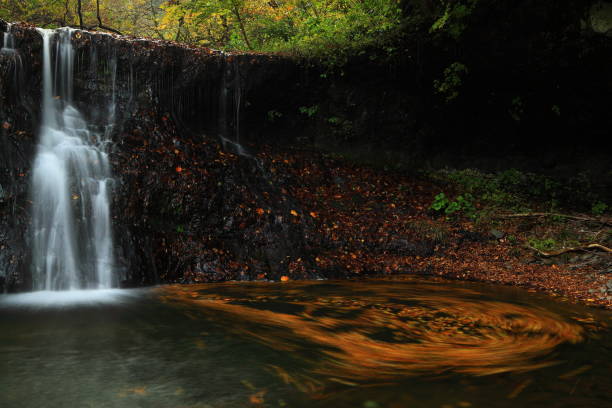istock Mountain stream of autumn leaves 1054865618