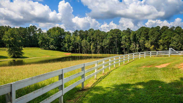 A Long White Fence A large tree shades the front area of a white fence. There is a pasture, pond and trees in the background. Clouds and blue sky are in the background. georgia country stock pictures, royalty-free photos & images