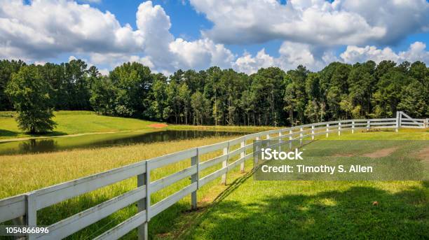 A Long White Fence Stock Photo - Download Image Now - Fence, Farm, Georgia - US State