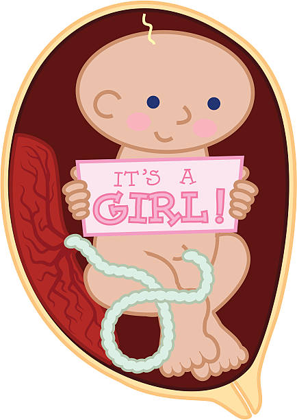 Fötus holding "Es ist ein Mädchen!" – Vektorgrafik
