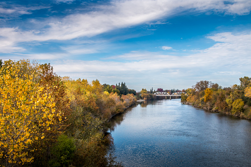 River view with trees in autumn colors on both banks. A bridge is crossing the river in the distance. A blue sky with clouds is in the background. The water is reflecting the blue sky and white clouds