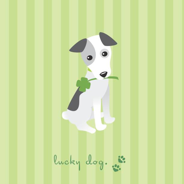 Lucky chien - Illustration vectorielle