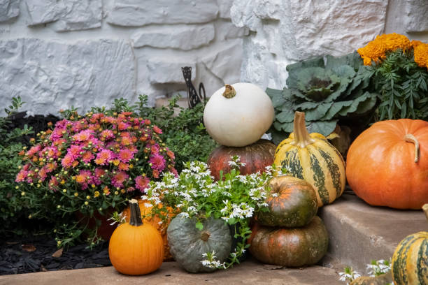 calabazas de otoño coloridos brillantes y flores dispuestas en pasos contra blanca pintan piedra wal - susan fotografías e imágenes de stock