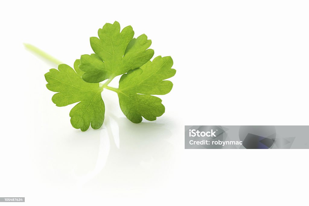 Italian Parsley  Close-up Stock Photo