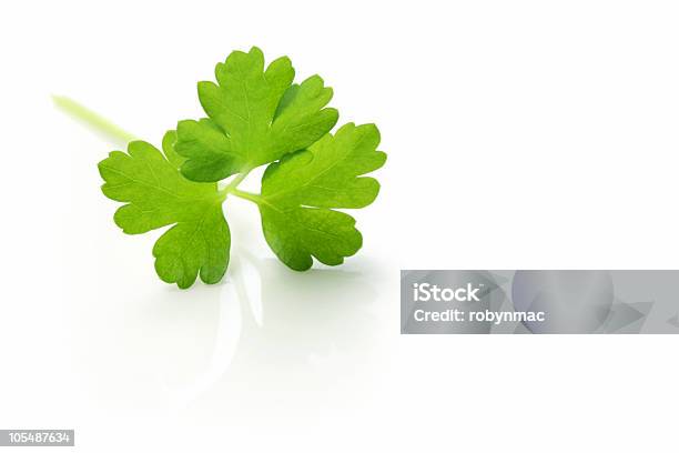 Italian Parsley Stock Photo - Download Image Now - Close-up, Color Image, Cut Out