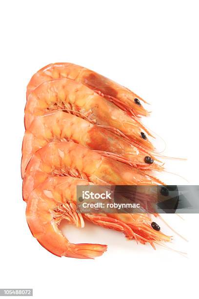 Prawns - Fotografias de stock e mais imagens de Amontoar - Amontoar, Branco, Camarão - Marisco