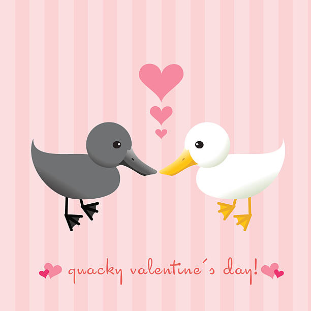 Quacky la Saint-Valentin - Illustration vectorielle