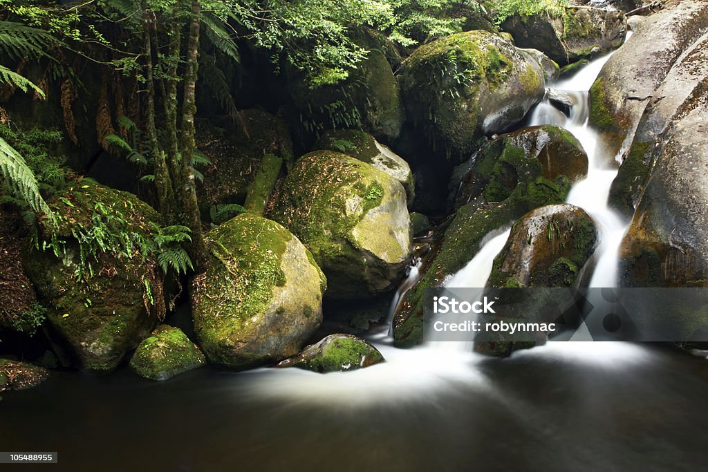Rainforest Waterfall - 로열티 프리 0명 스톡 사진