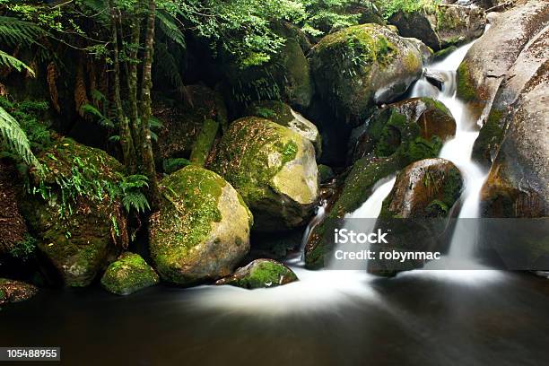 Rainforest Waterfall 0명에 대한 스톡 사진 및 기타 이미지 - 0명, 강, 경관