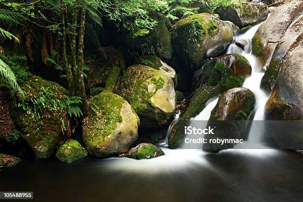 Тропический Водопад — стоковые фотографии и другие картинки Yarra Ranges National Park - Yarra Ranges National Park, Австралия - Австралазия, Без людей