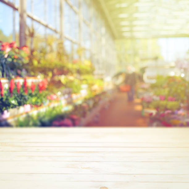 istock Greenhouse montage display mock up 1054892586