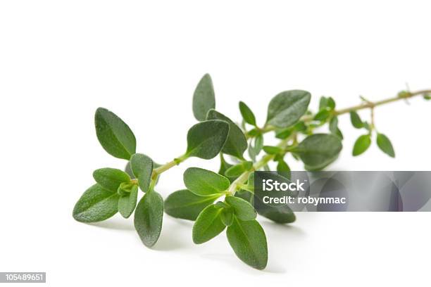 Branch Of Fresh Thyme On White Background Stock Photo - Download Image Now - Thyme, Close-up, Color Image