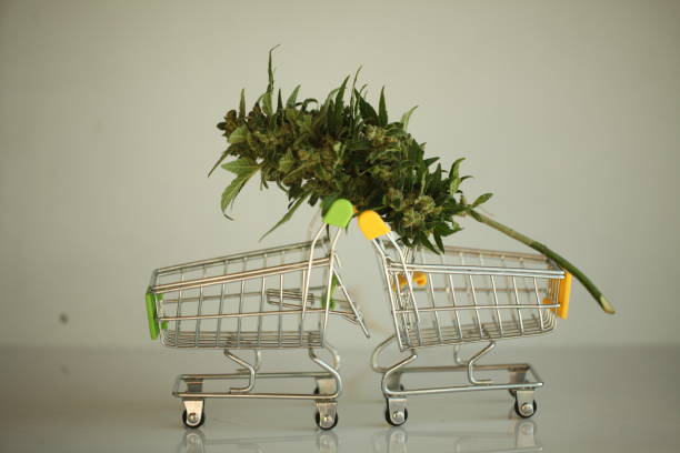istock marijuana medical cannabis 1054899338