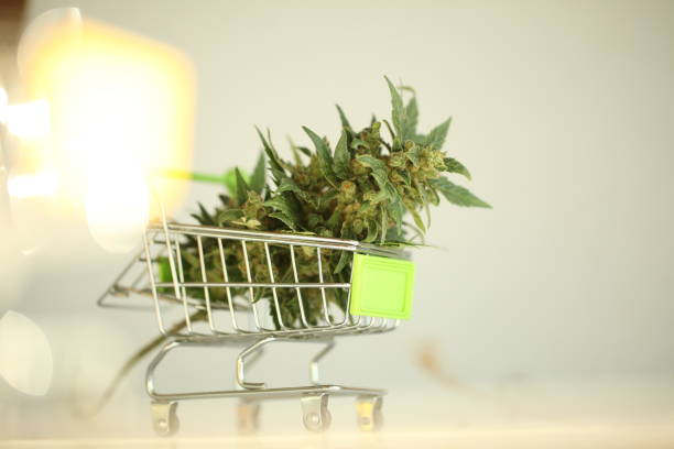 istock cannabis in a shopping trolley 1054900646