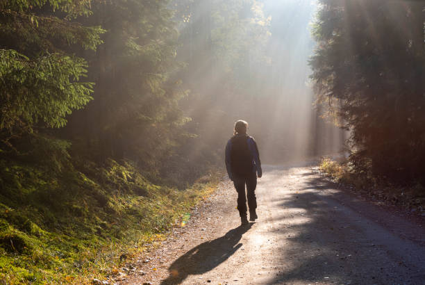 istock Woman hiking on country road 1054901574