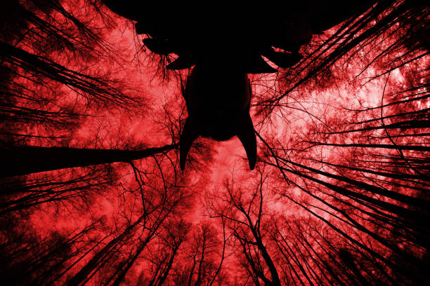 istock ghostly silhouette in spooky dark forest. halloween concept 1054907648