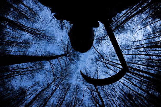 istock demon witch with reaper in the forest. halloween concept 1054907656
