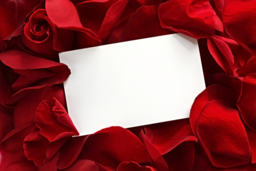 Blank white gift card on a bed of red rose petals, ready for your message.  Please see: