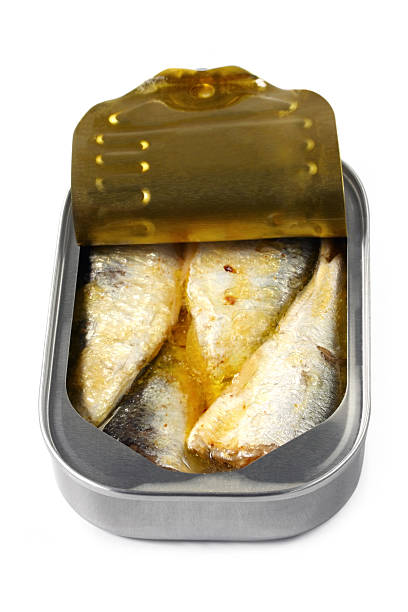 istock Can of Sardines 105491284