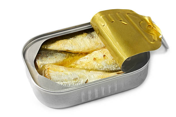 istock Can of Sardines 105491288