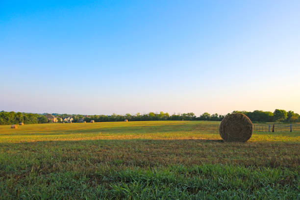 Kansas Rural Farm Land